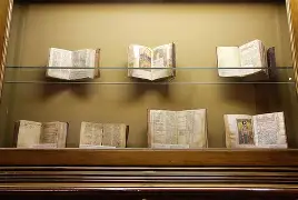 九游体育官网-瀵屽+鏂戒箰m115fs